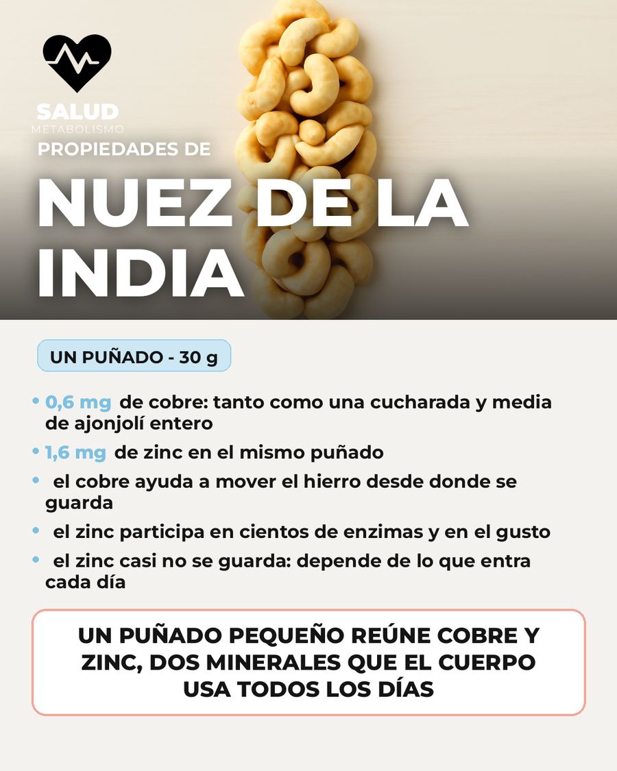 Nuez de la india: qué aporta una porción