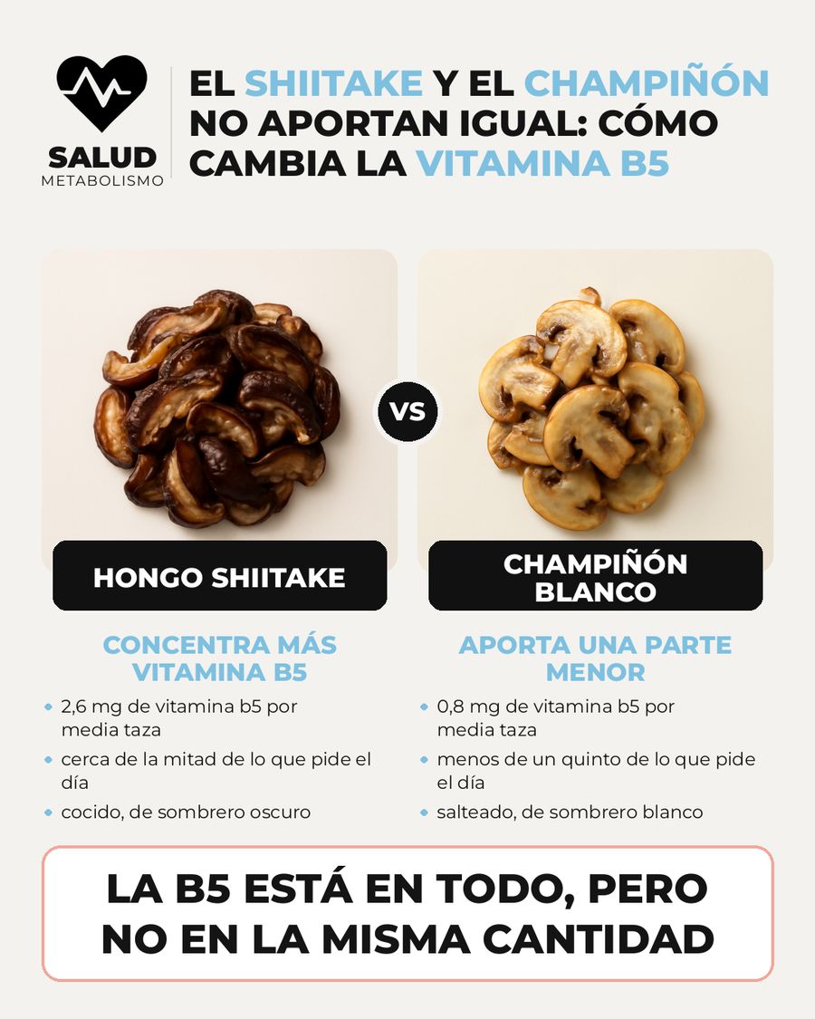 El shiitake y el champiñón no aportan igual: cómo cambia la vitamina B5