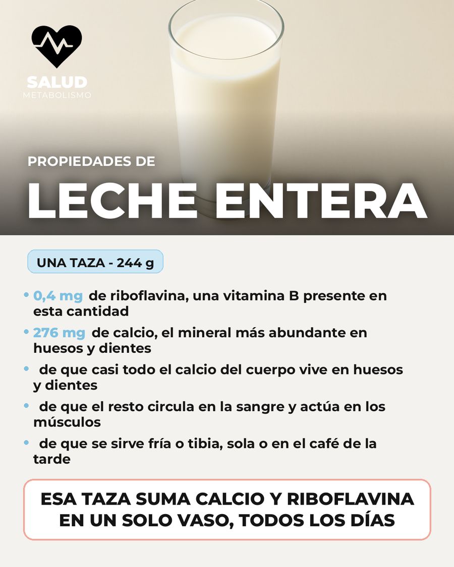 Leche entera: qué aporta una porción